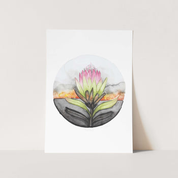 Burnt Protea Art Print