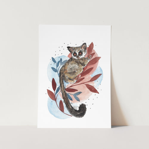 Bushbaby Art Print