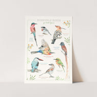 Bushveld Birds Art Print