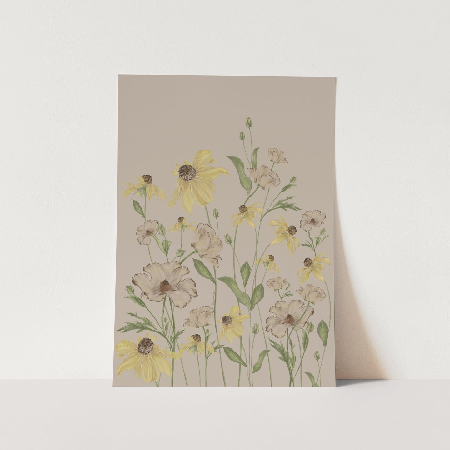 Butterfly Ranunculus and Susans 01 Art Print