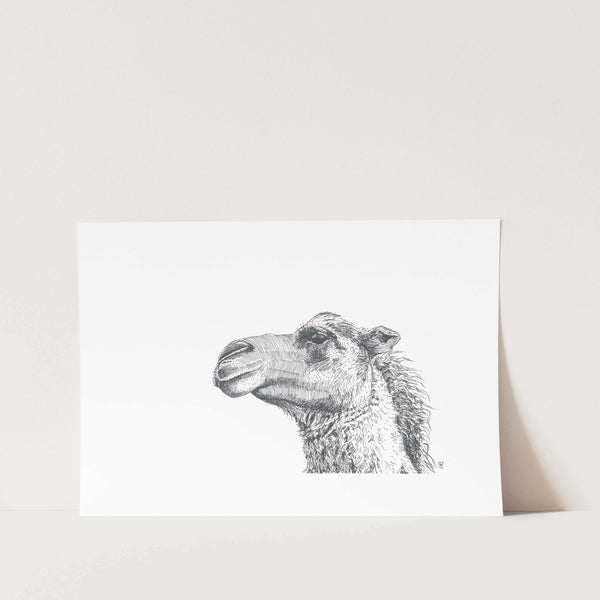Camel of Provision Art Print