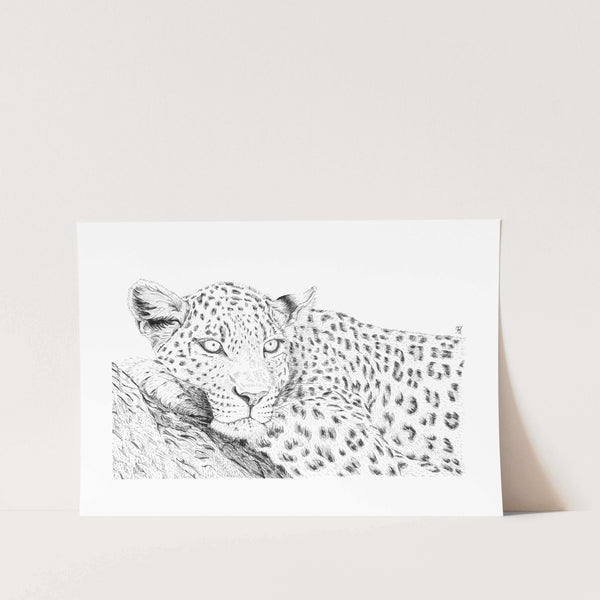 Can a leopard change its spots? Art Print