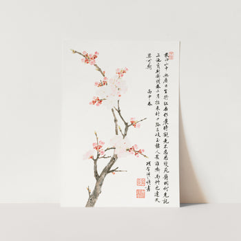 Chinese Cherry Blossom Art Print