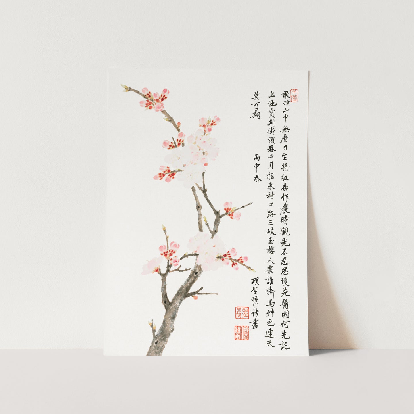 Chinese Cherry Blossom Art Print