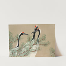 Load image into Gallery viewer, Cranes From Momoyogusa Art Print