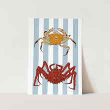 Load image into Gallery viewer, Crustacean Art Print