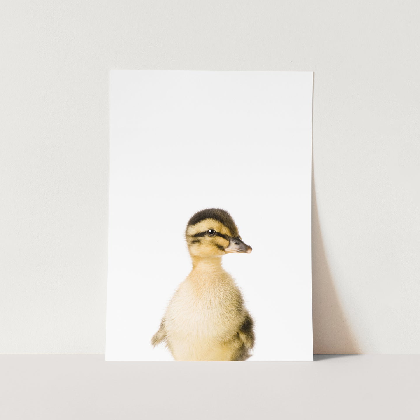 Daffy The Duck PFY Art Print