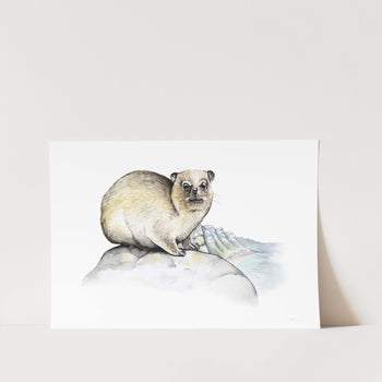 Dassie and Apostles Art Print