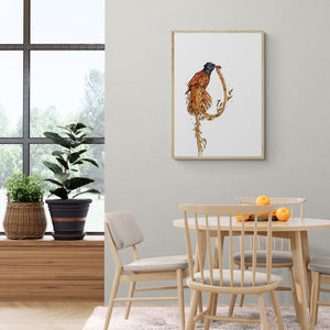 Paradise Bird Art Print