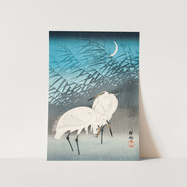 Egrets and Reeds in Moonlight Art Print