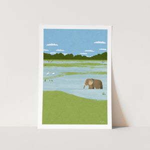 Elephant Wetlands By Henry Rivers Art Print