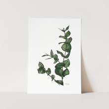 Load image into Gallery viewer, Eucalyptus Art Print