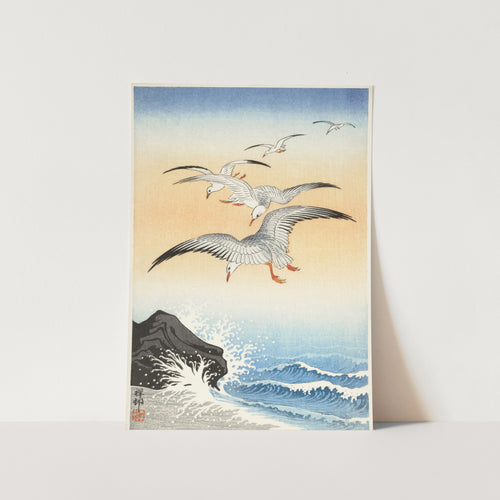 Five seagulls above turbulent sea Art Print