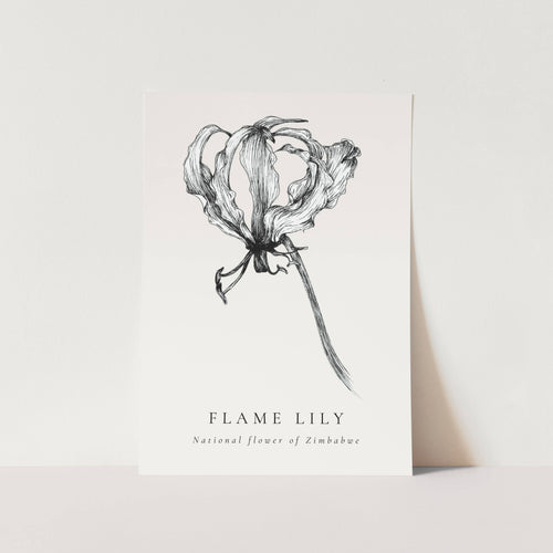 Flame Lily National Flower of Zimbabwe Art Print