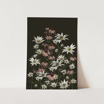 Flannel and Purple Cone Flower 01 Art Print