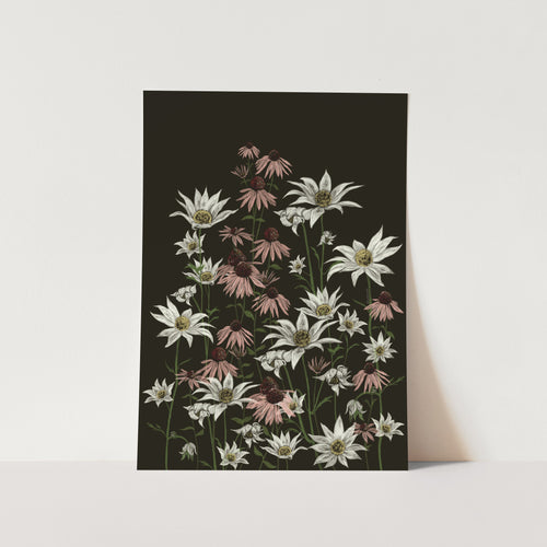 Flannel and Purple Cone Flower 01 Art Print