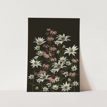 Load image into Gallery viewer, Flannel and Purple Cone Flower 01 Art Print