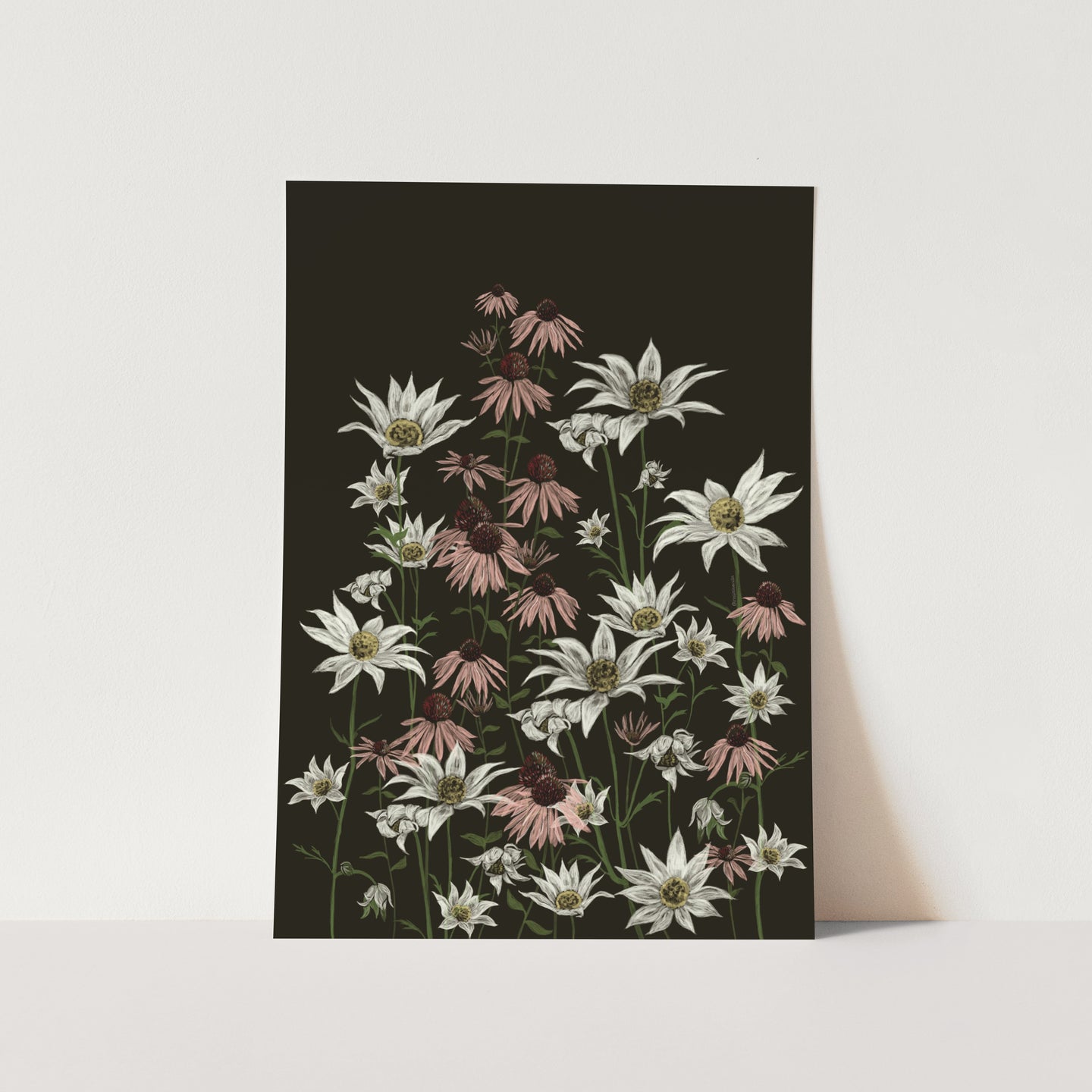 Flannel and Purple Cone Flower 01 Art Print