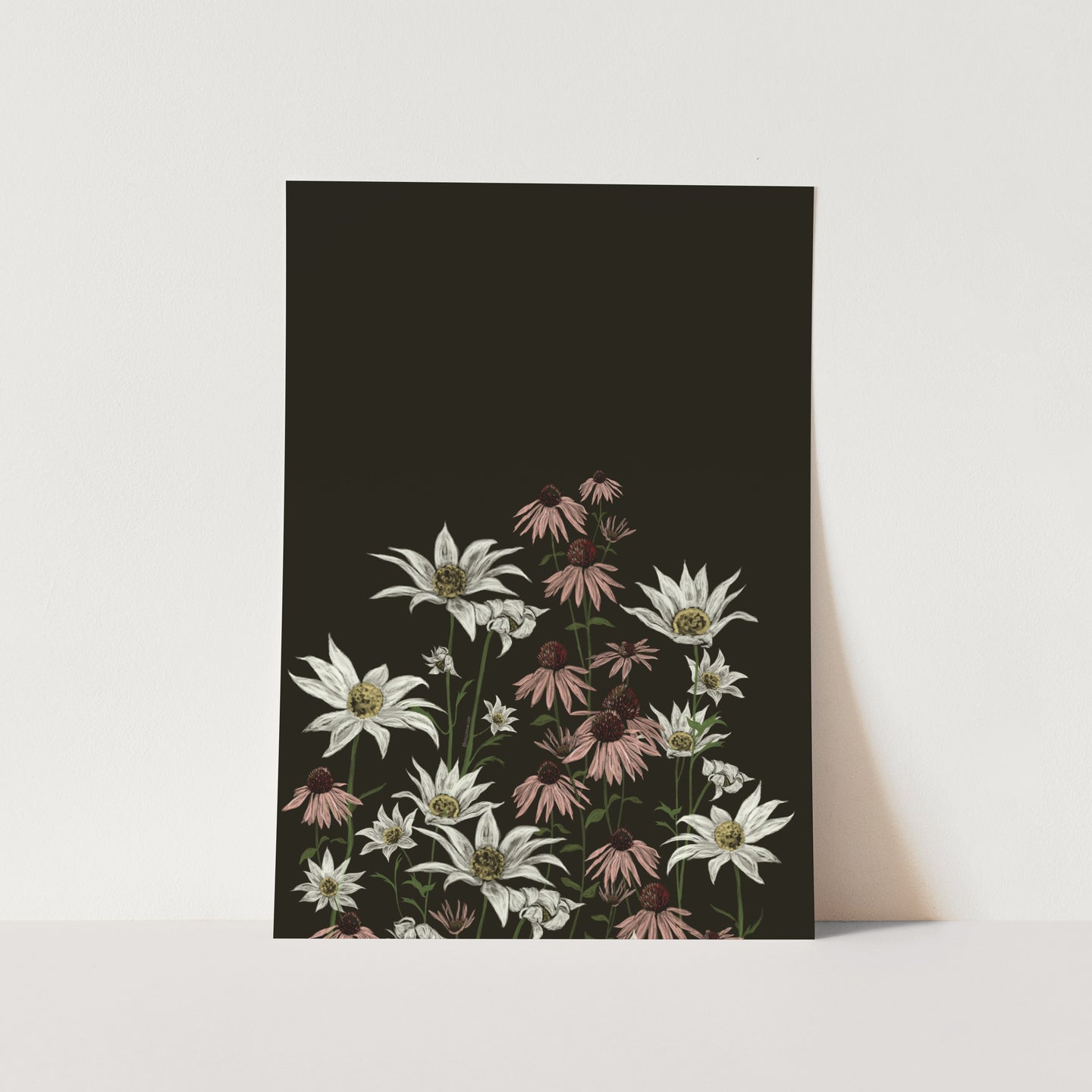 Flannel and Purple Cone Flower 02 Art Print