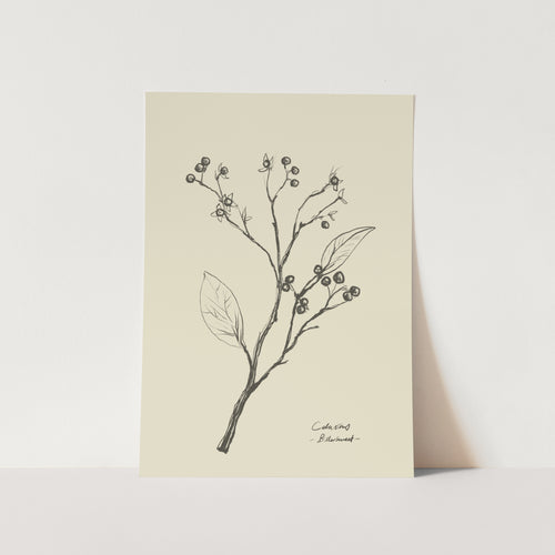 Floral 2 PFY Art Print