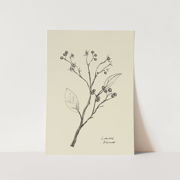 Floral 2 PFY Art Print