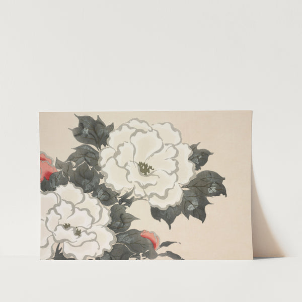 Flowers from Momoyogusa Art Print