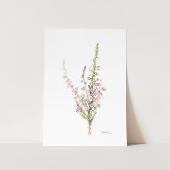 Fynbos Purple Erica Art Print