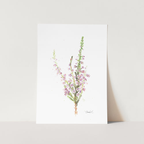 Fynbos Purple Erica Art Print