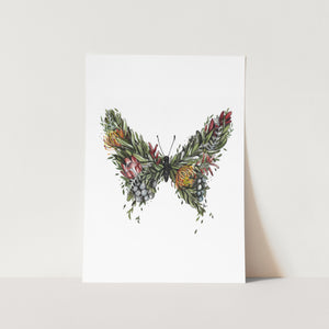 Fynbos Butterfly Portrait Art Print