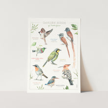 Load image into Gallery viewer, Garden Birds Poster Art Print