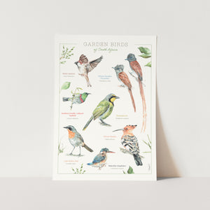 Garden Birds Poster Art Print