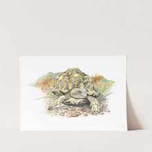 Load image into Gallery viewer, Geometric Tortoise Art Print