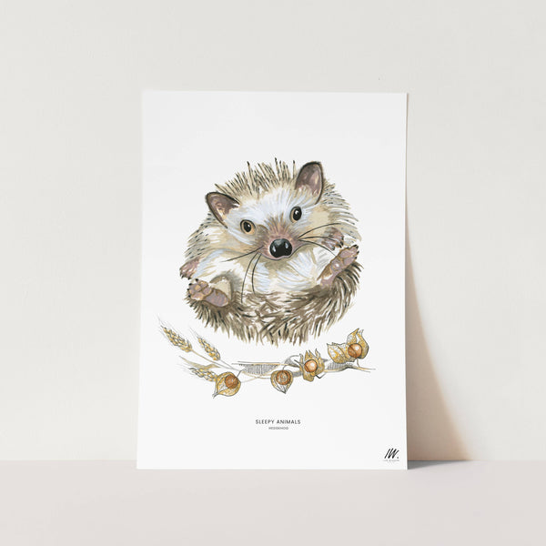 Hedgehog Art Print