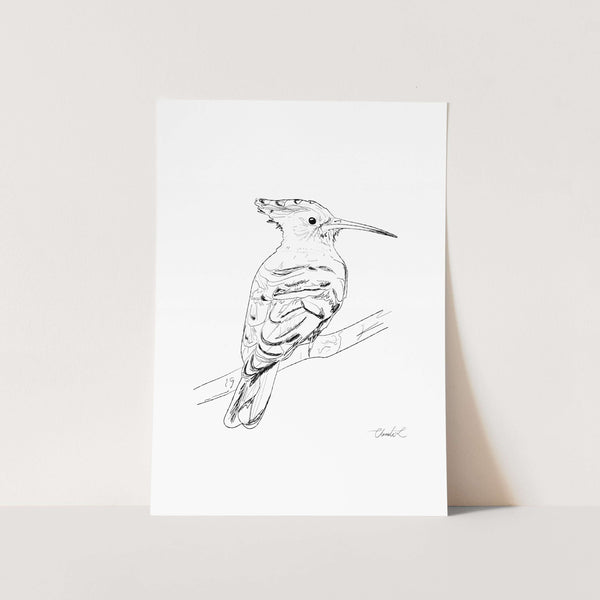 Hoopoe Black and White Art Print