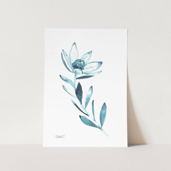 Indigo Blue Fynbos Art Print