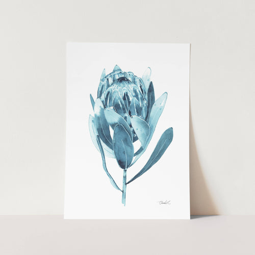 Indigo Blue Protea Art Print