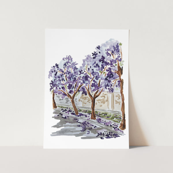Jacaranda Season Art Print
