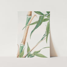 Load image into Gallery viewer, Japanese Bamboo Art Print