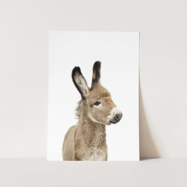 Jenny The Donkey PFY Art Print