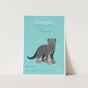 Mongoose by Kirsten Ryan Art Print