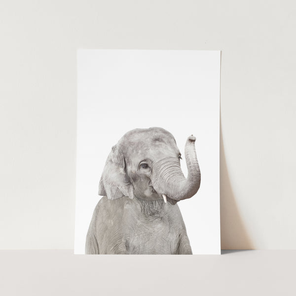 Kalifa the Elephant PFY Art Print