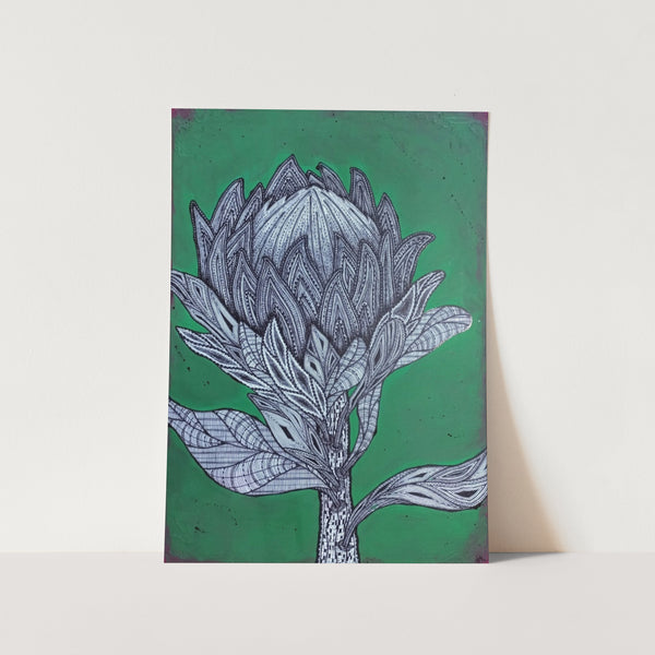 King Protea Art Print