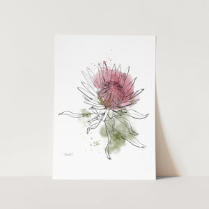 Line Art & Watercolour King Protea #2 Art Print