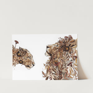 Lions Art Print