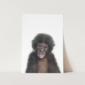 Loco The Monkey PFY Art Print