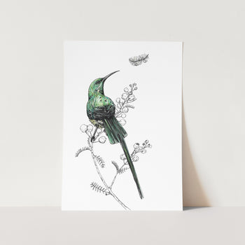 Minimal Malachite Sunbird Art Print