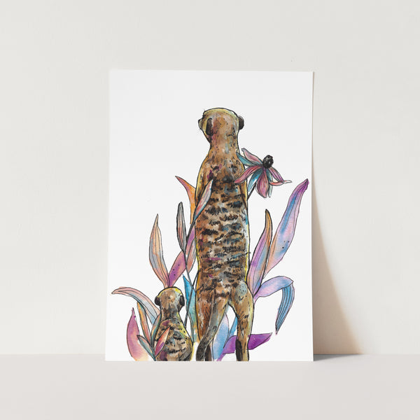 Meerkat View Art Print