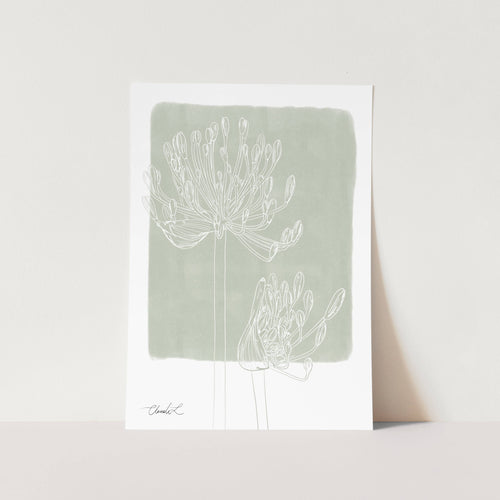 Modern Agapanthus #2 Art Print