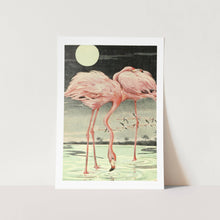 Load image into Gallery viewer, Moonlight Pink American Flamingos Art Print