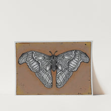 Load image into Gallery viewer, Moth Art Print